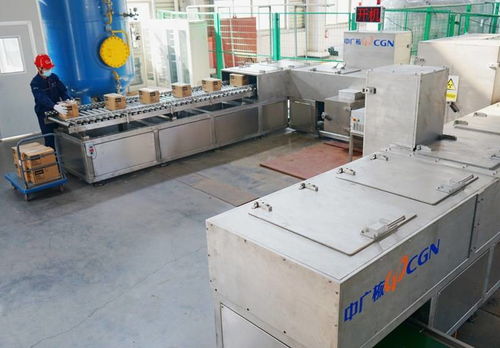 電子束技術(shù)在冷鏈?zhǔn)称吠獍b新冠病毒滅活項(xiàng)目中的突破性成果通過專家評(píng)審